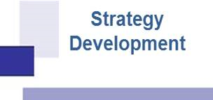 dms Strategy Development
